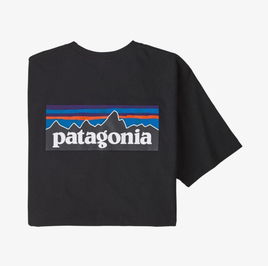 mens t shirts, patagonia, mens shirts , 