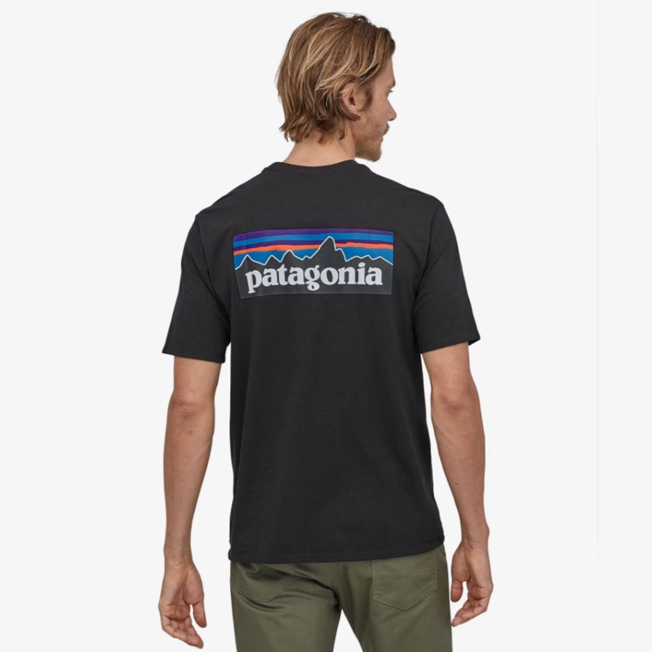 mens t shirts, patagonia, mens shirts